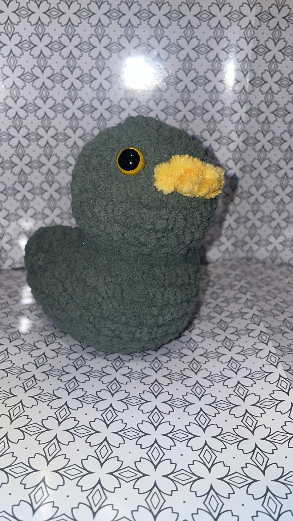 Ducks