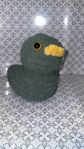 Ducks