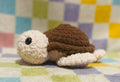 Sea Turtles